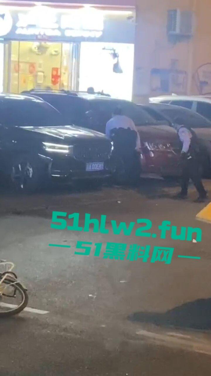 海南三亚金鸡岭,富天乐酒店门口民警和歹徒搏斗全过程,男子强奸未遂被巡逻民警发现并逮捕。-2